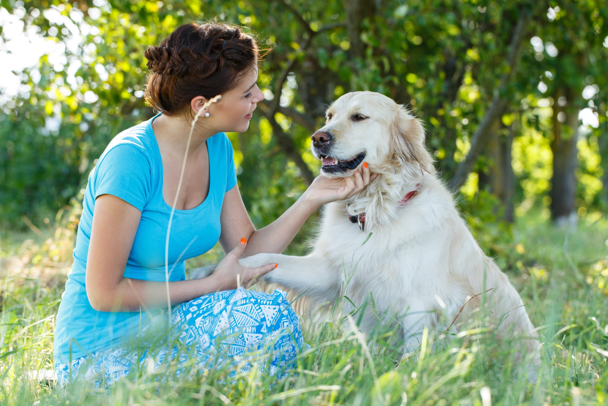 Pet-Health-with-Quantum-Energy