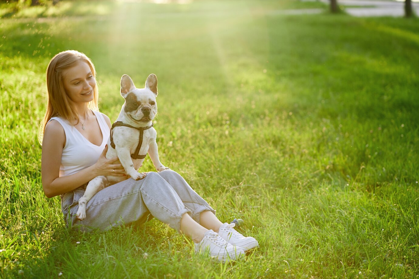 Pets with Anxiety Using Quantum Energy