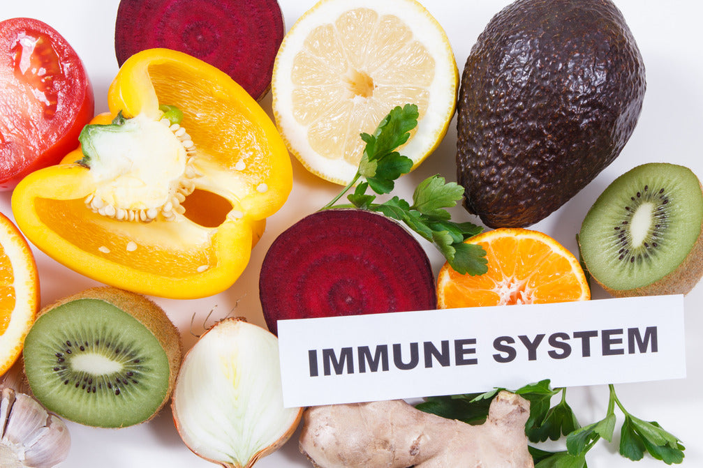 Immune System