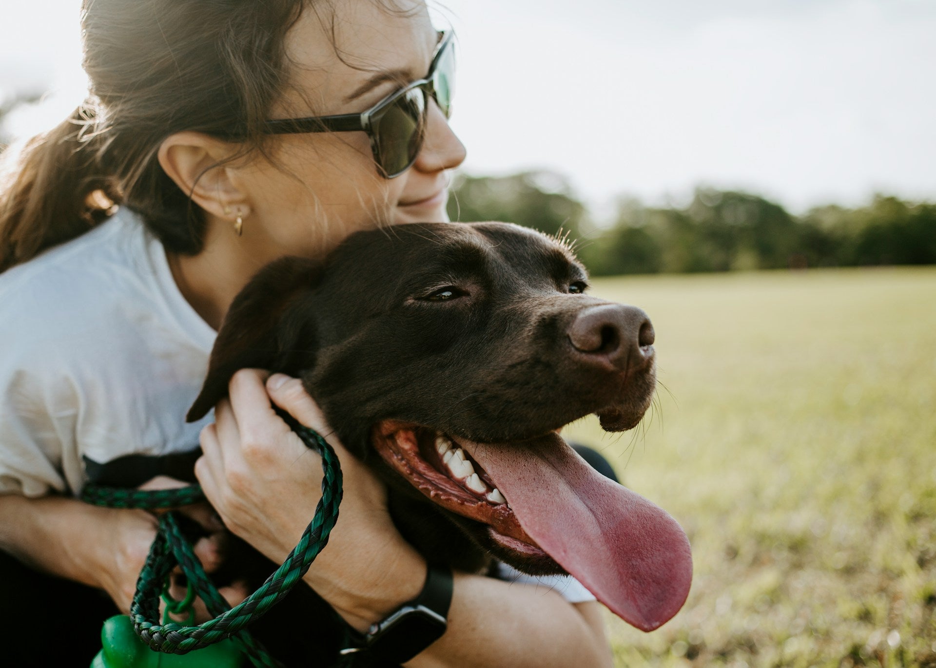Pet Health