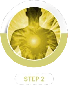 files/step-2-15_png.webp
