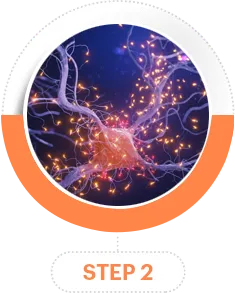 files/step-2-6.webp