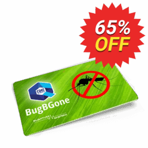 Bug Off Cards